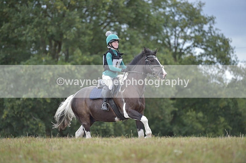 NGP_2685 - XC Time 11:37 to 11:57