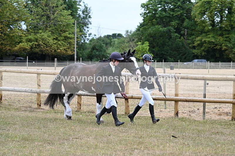 WJ7_8923 - Class 4a Prettiest Mare 14.2hh and over