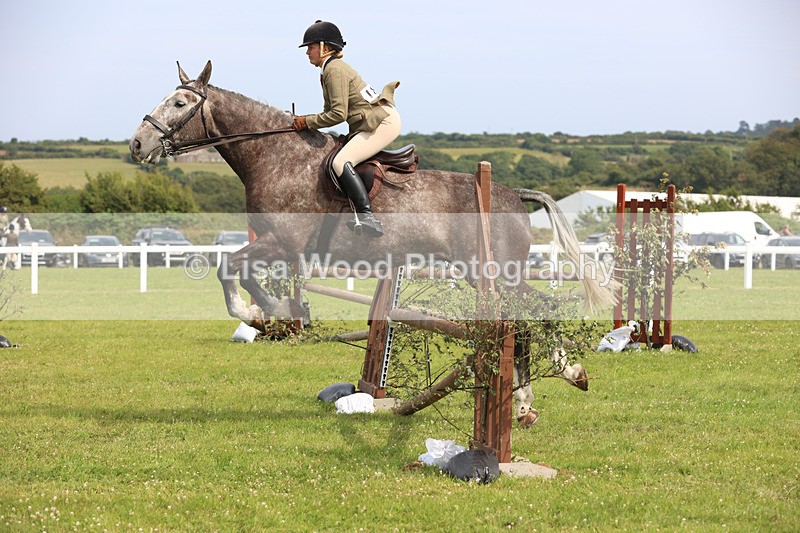 JPP_4078 - Class 24: Working Hunter 90cm