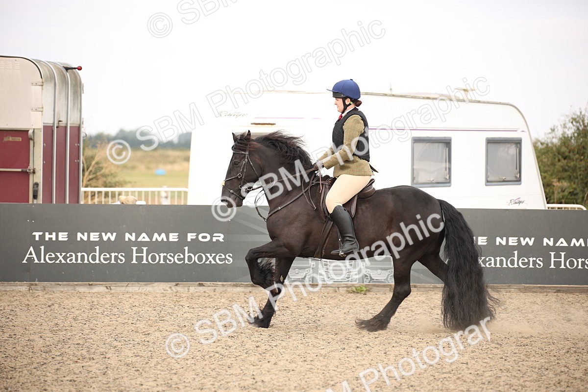 SBM_16180 - Class 409a - Working Veteran 80cm (15-19)