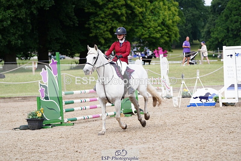 250615A-102050-10080 - Class 43 British Novice 90cm Open
