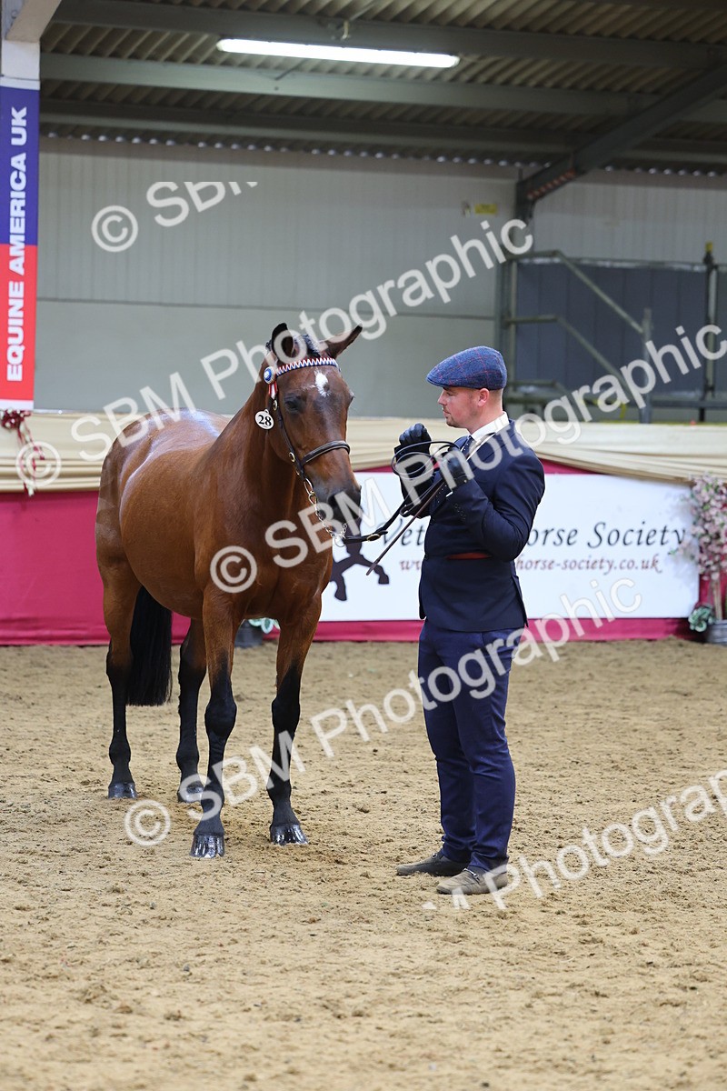 SBM_23231 - Supreme Final - IH Champion