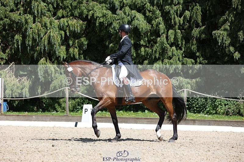 230526-140811-06459 - 371-JERPOINT_ECLIPSE-Max_Gordon-WEDTrotUp+DR