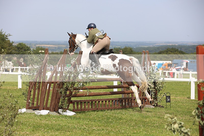 JPP_4052 - Class 24: Working Hunter 90cm