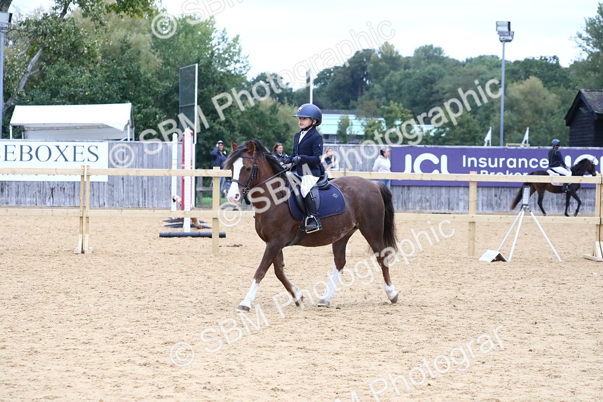 SBM_68341 - J3b - Mini Tour Junior Pony 40cm Championship