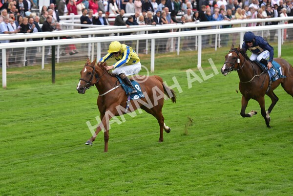 yr22072022r3-61 - Race 3 6.20pm Tomahawk Stakes