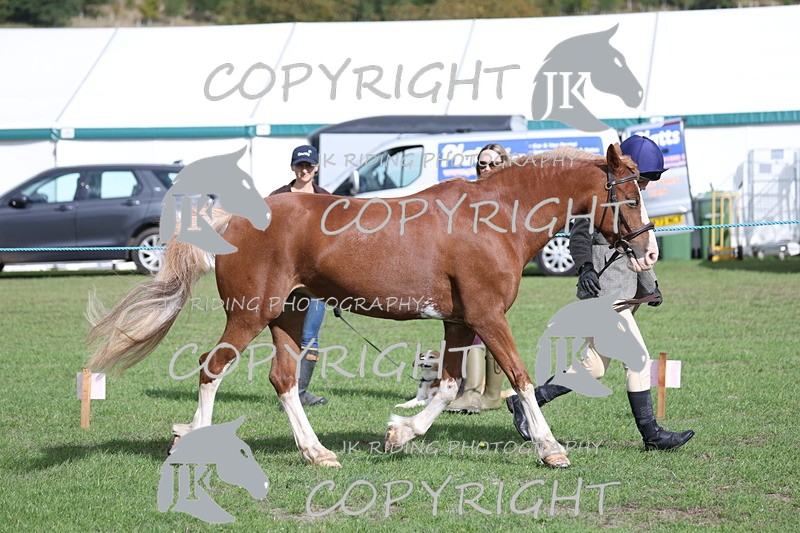 APP_2598 - Class 9 Veterans in hand