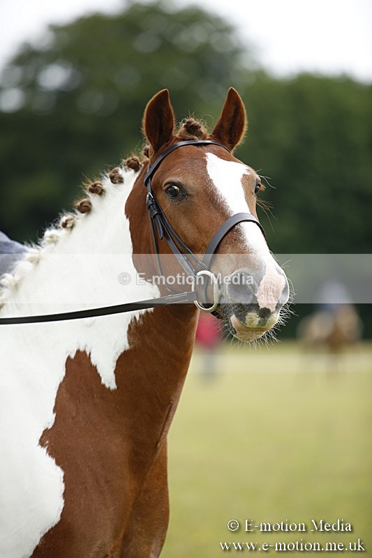 BVR160717-61 - Ring 1 BVRC Show 16/07/17