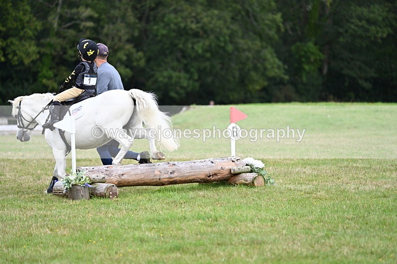 WJ7_7249 - 40cm Time 10:06 to 10:24