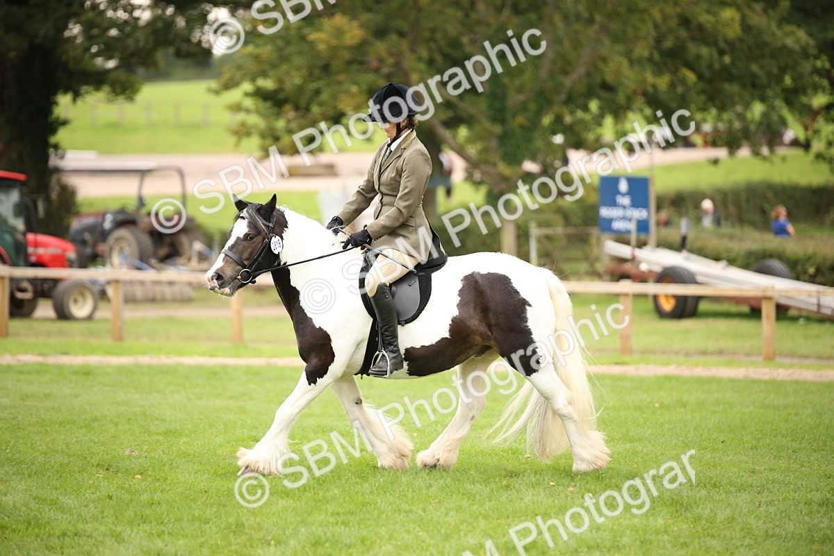 SBM_73551 - S68 - Traditional Cob Ridden
