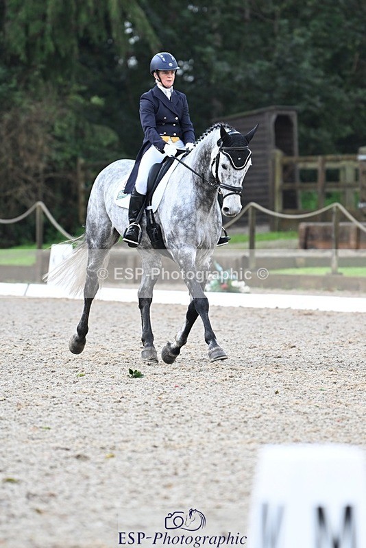 231019-094811-01217 - 028-BOLEYBAWN.COOLEY.LADY-Claire.Fielding-DR