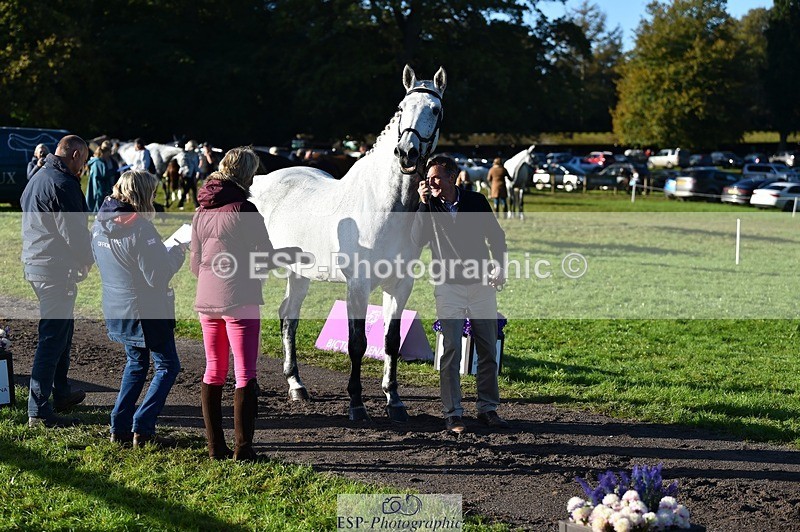 231022-094752-22032 - 463-HOLOGRAM.SCAIS-Chris.Brentnall-TrotUp+SJ