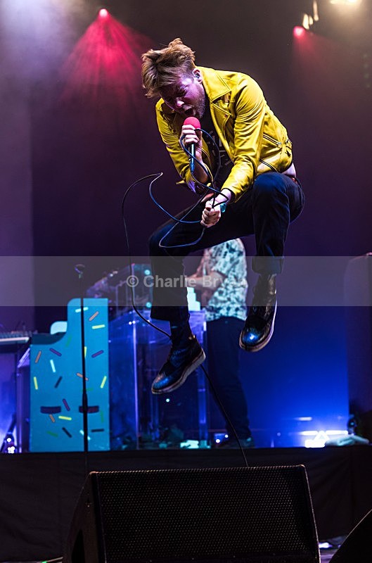  - Cornbury Festival 2017, Last Ever?