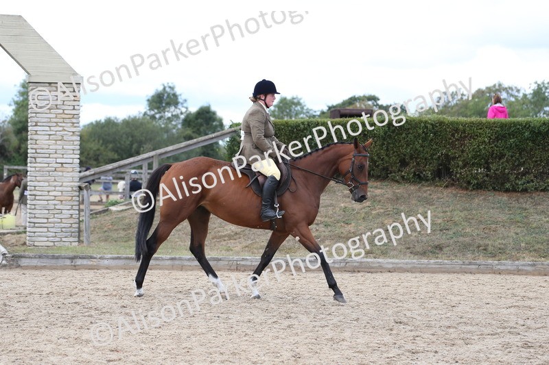 20260831-2594 - Class 15 - Ridden Retraining of Racehorses