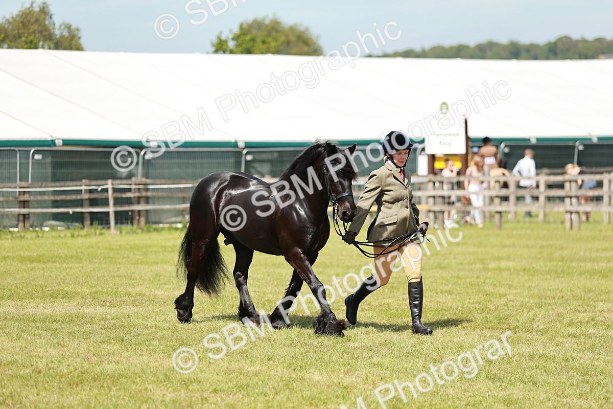 SBM_07183 - Class 26-30 - Mountain and Moorland Ridden