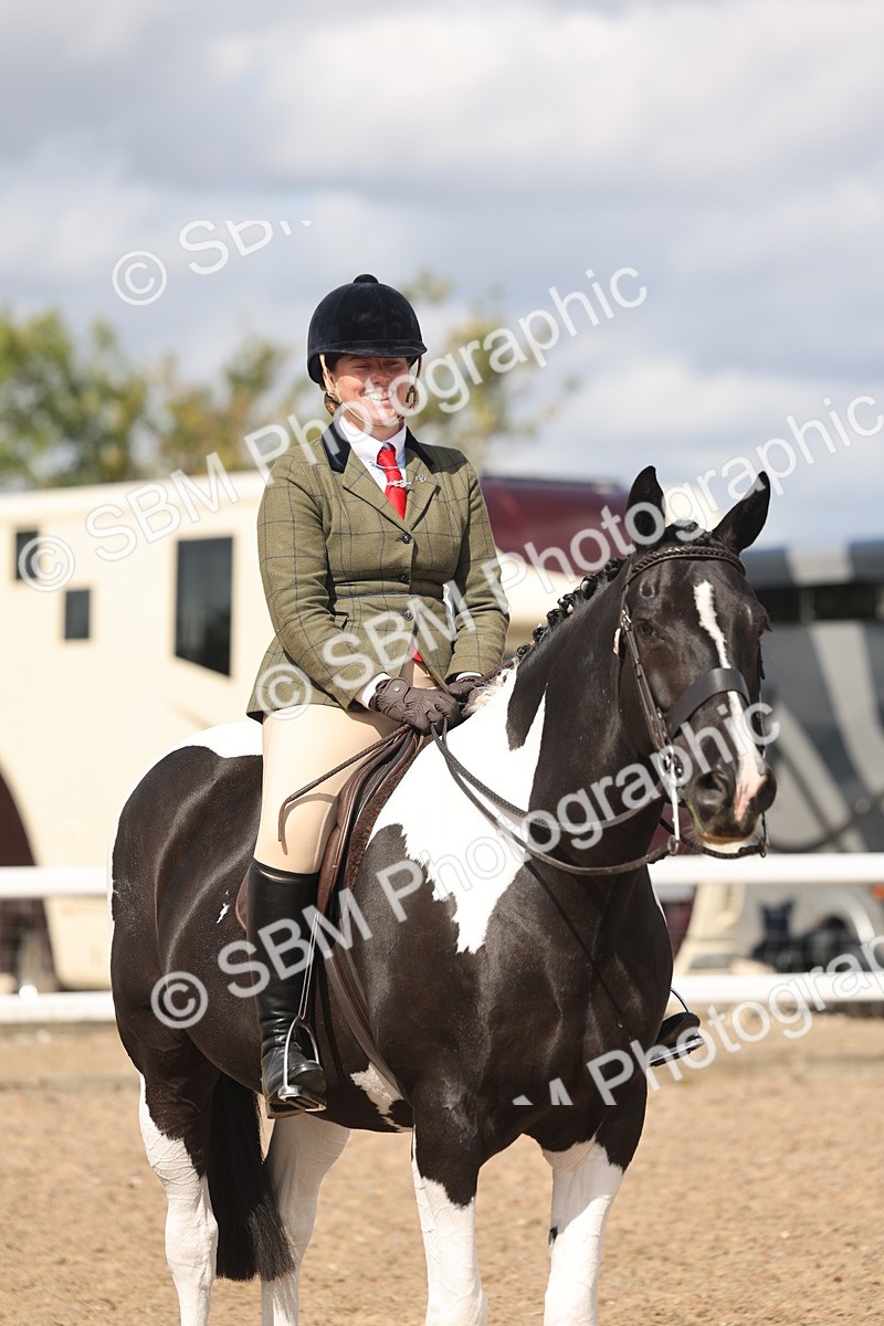 SBM_14786 - Class 308 - Ridden Coloured Horse