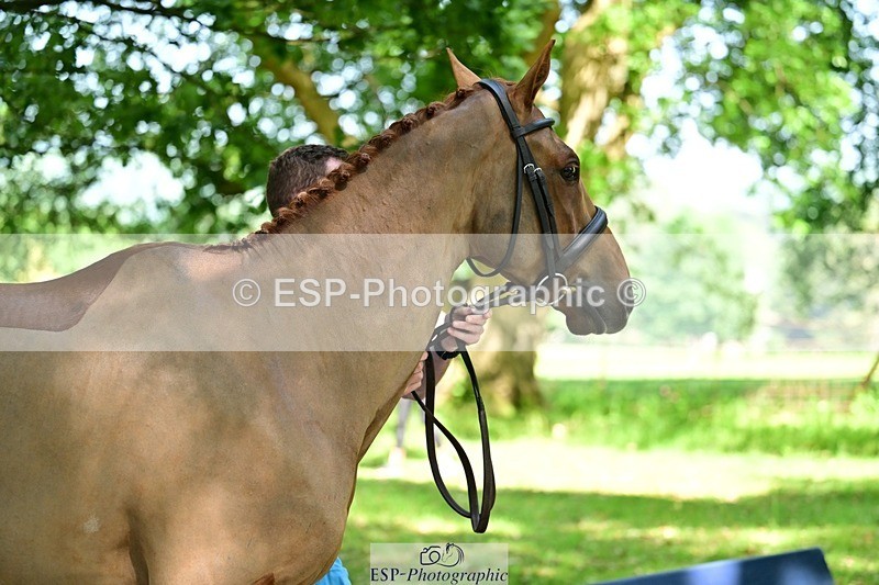 260527A-150753-00868 - C-330-Henry.Dove