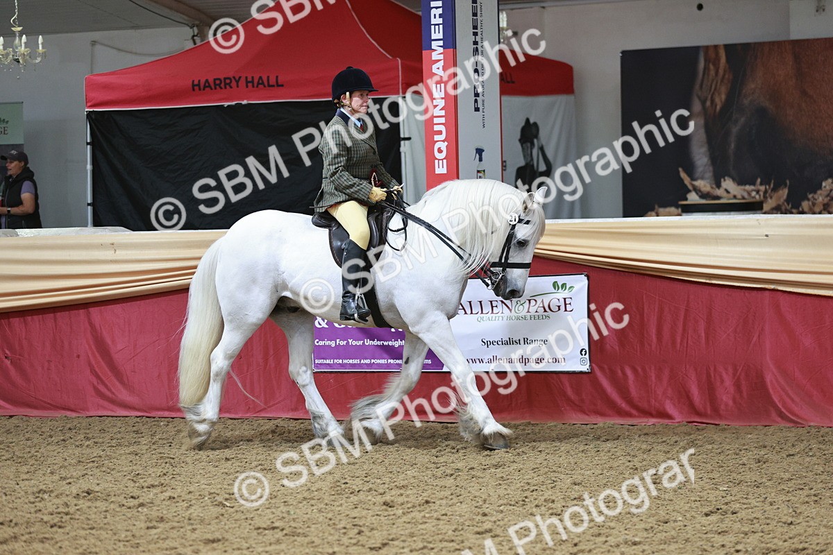 SBM_08647 - Regional Ridden Champ