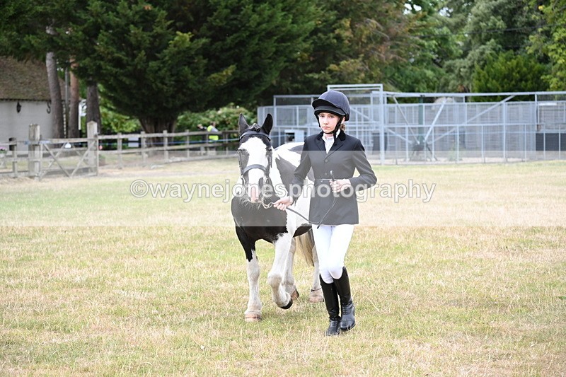 WJ6_4222 - Class 10 Coloured In-hand