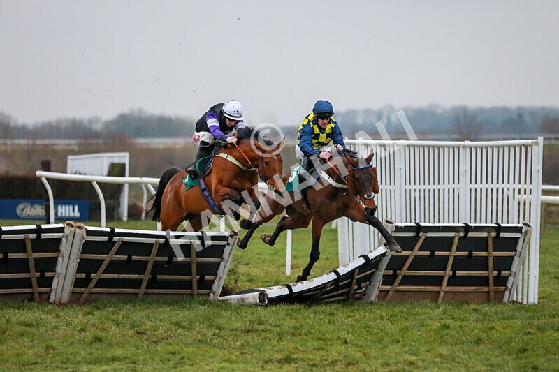 310125-Race 7-Balcomie Breeze-4716 - Race 7