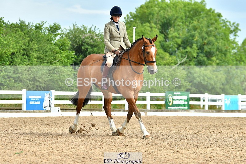 230708A-092655-02095 - Prelim 13