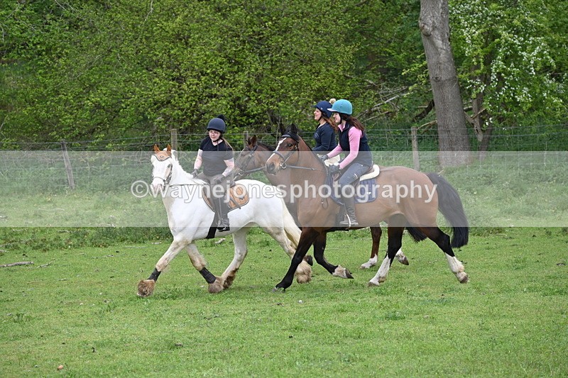 WJ6_3144 - A camera