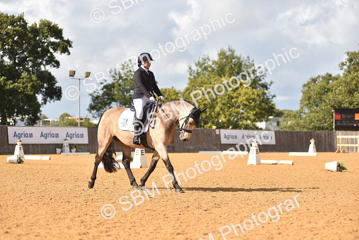 SBM_24268 - D4 - Small Tour Championship Intro 4
