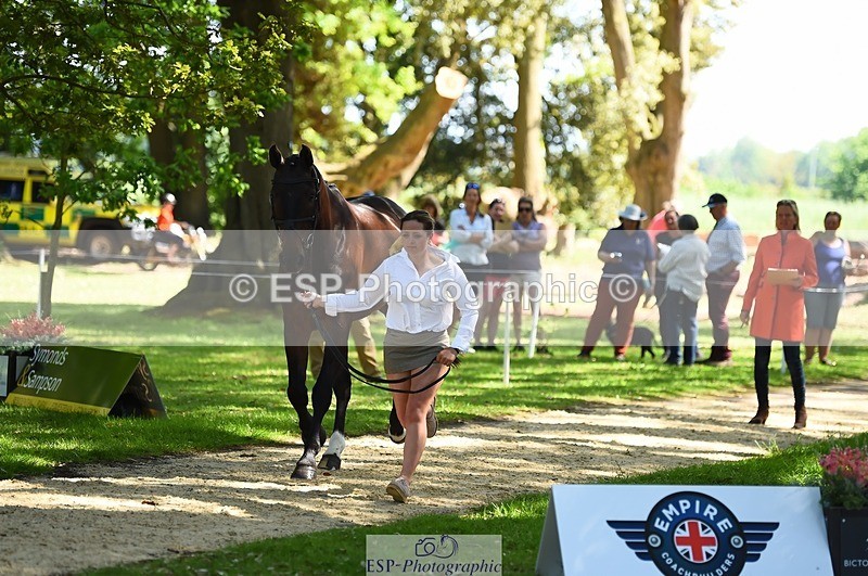 230524-153226-00335 - 357-VIVENDI_HERO-Saffron_Cresswell-WEDTrotUp+DR