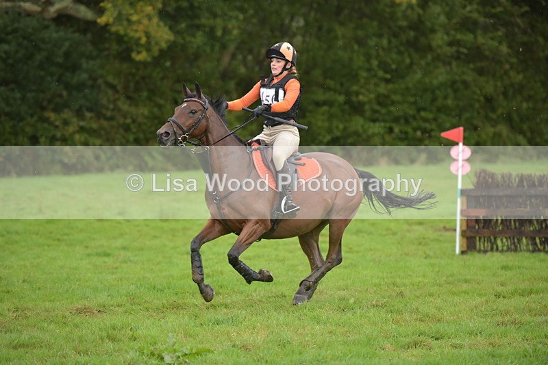 RAY_0511 - Class 4: 80cm: Double of Brushes