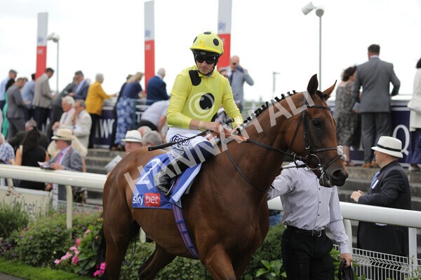 yr20082022r2-23 - Race 2 2.35pm Sky Bet Melrose Stakes