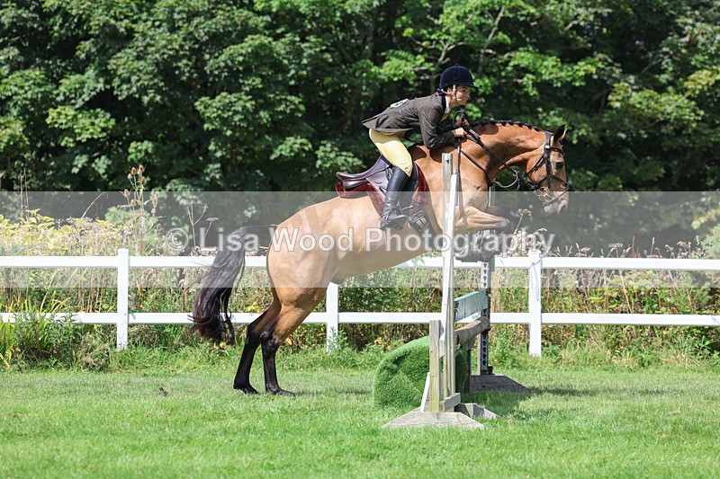 3E7A8886 - Class 6: Open Working Horse