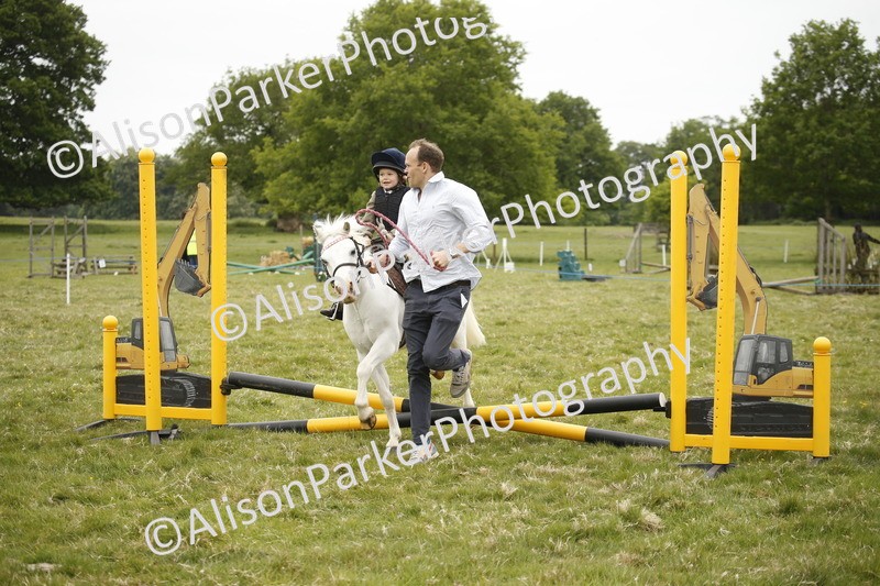 20250517-0171 - Class 1 - 30cm On Lead Rein