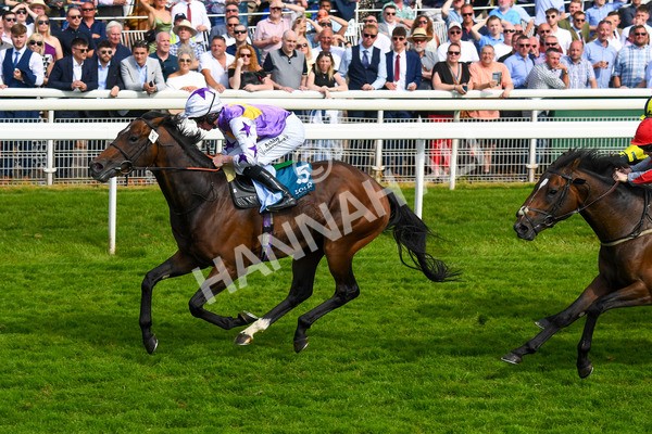 270523-Race 6-Quantum Impact-0900 - Race 6 4.25pm Royal Yorkshire Regiment Handicap