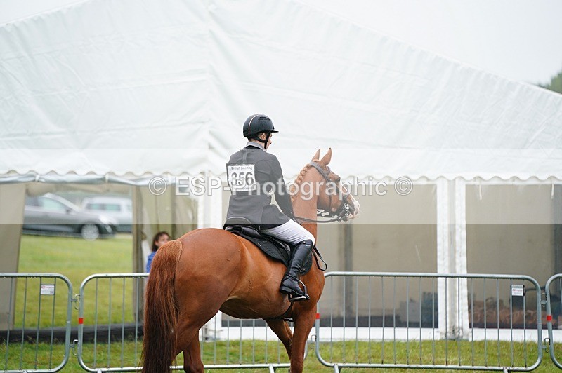 240630X-100040-5302 - 356-Jesse_Poyntz-Wright-KNOCKADERRY_JACK