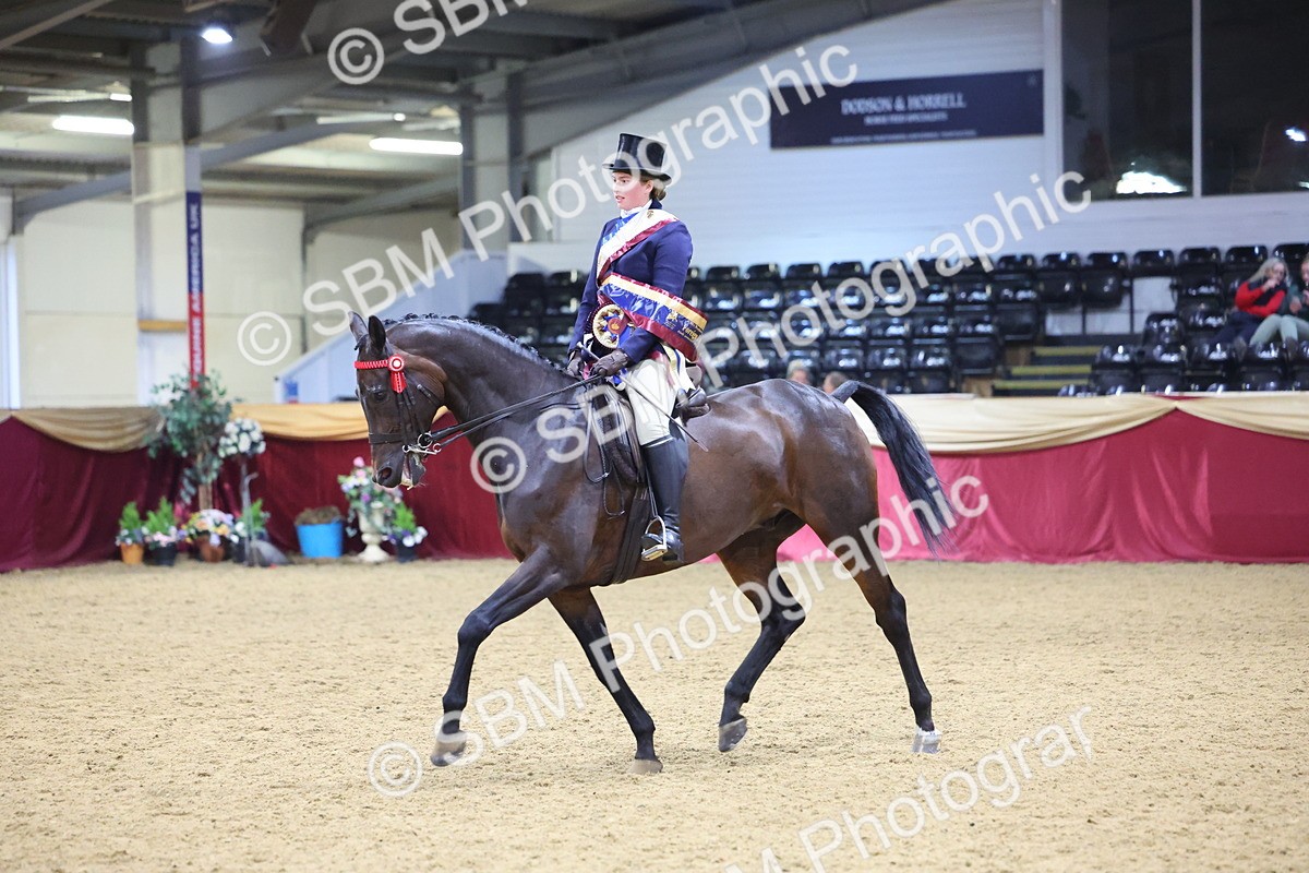 SBM_19102 - Class H Foreign Breeds Champ