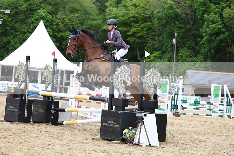3E7A6489 - Class 4: Senior British Novice/90cm open