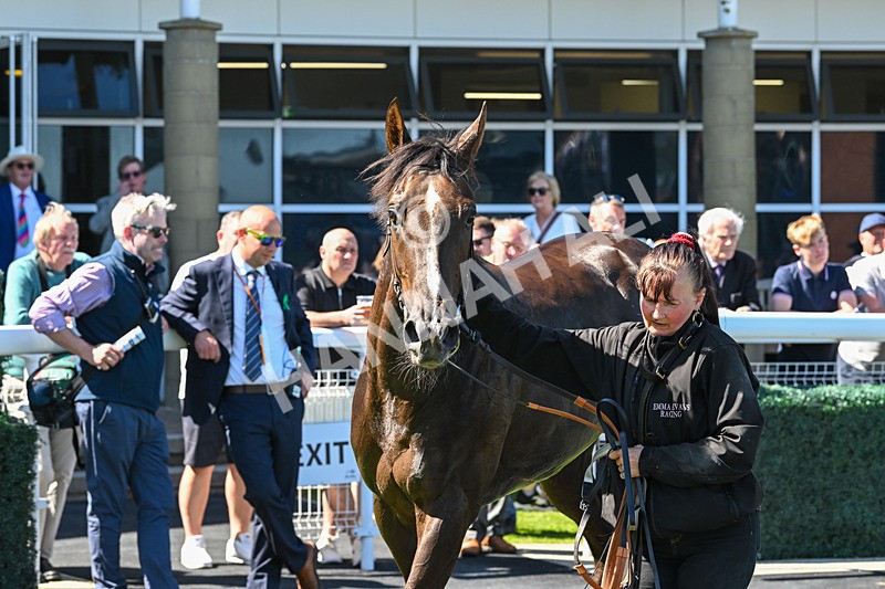 130525-Race 2-Bust A Moon-9708 - Race 2