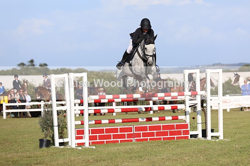 3E7A4489 - Class C: Showjumping Senior Foxhunter
