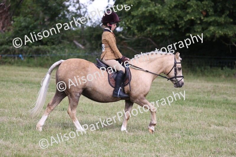 20260614-0806 - Class 20 - Beginners Working Hunter Pony