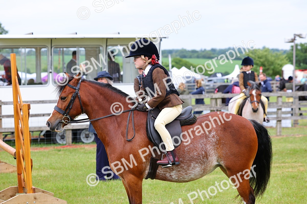 SBM_08782 - Class 42-43 - LIHS BSPS Heritage Working Sports Pony