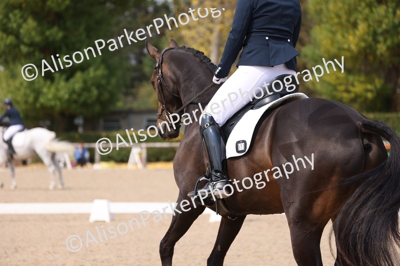 20250819-1451 - Class 4 - Novice 2