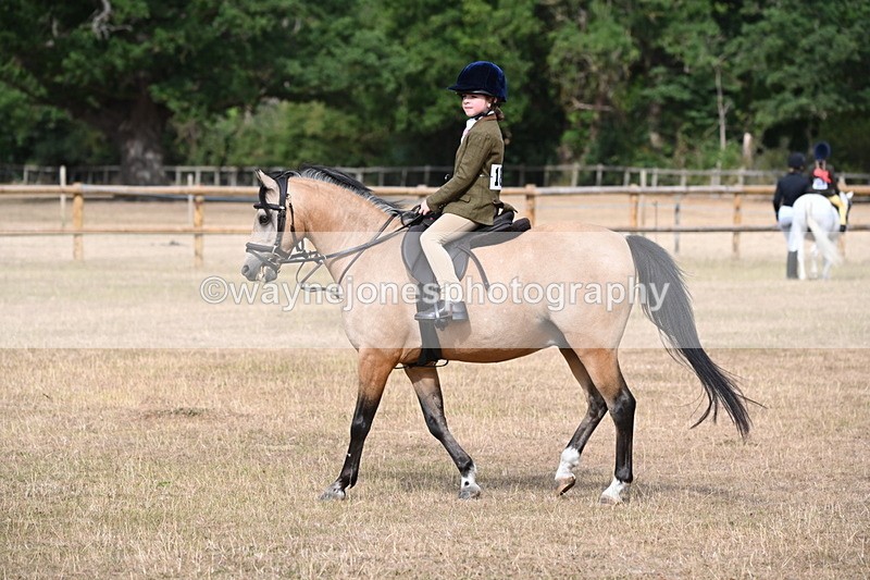 WJ6_7467 - Class 9 Tack and Turnout