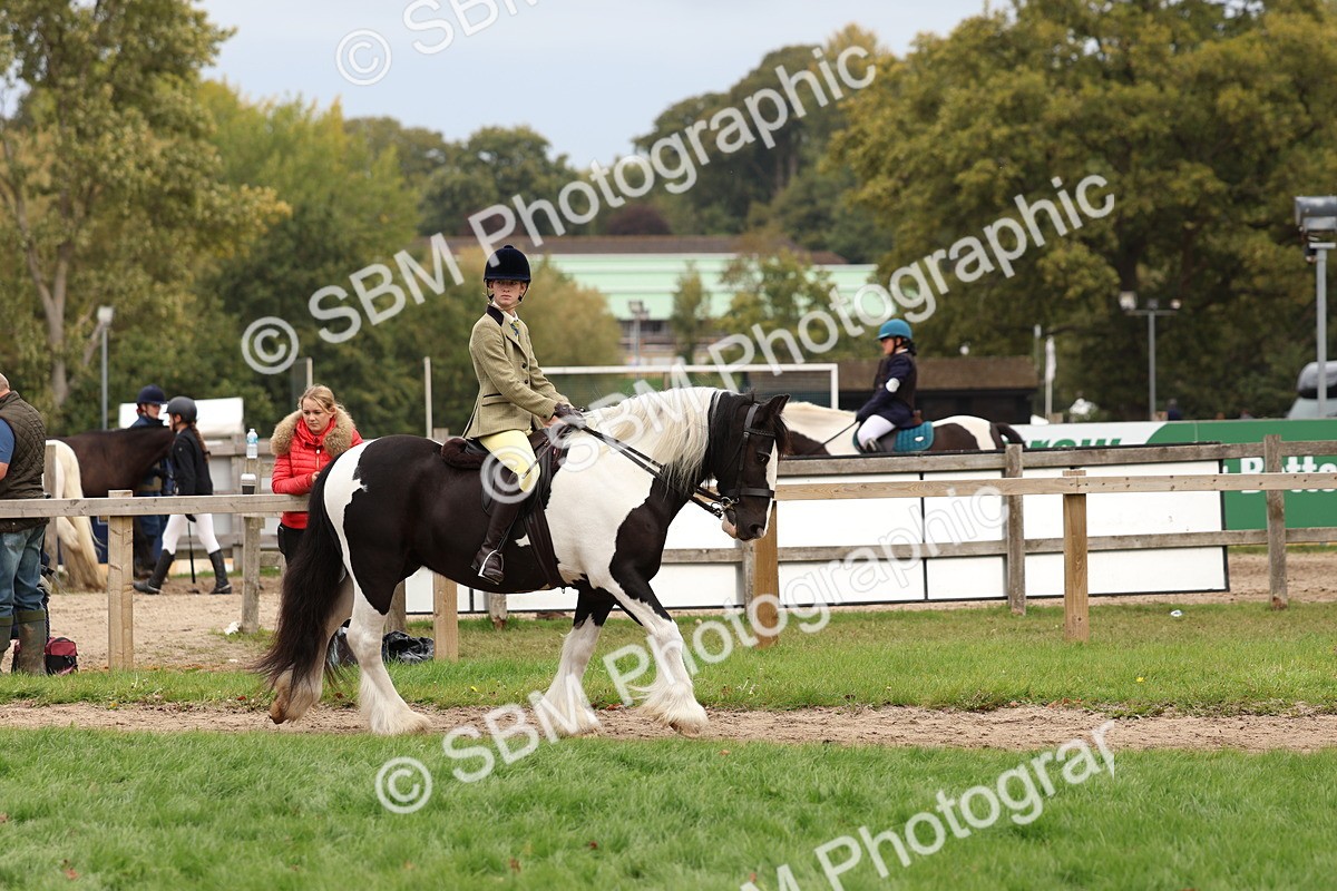 SBM_64401 - S58 - Coloured Pony Ridden