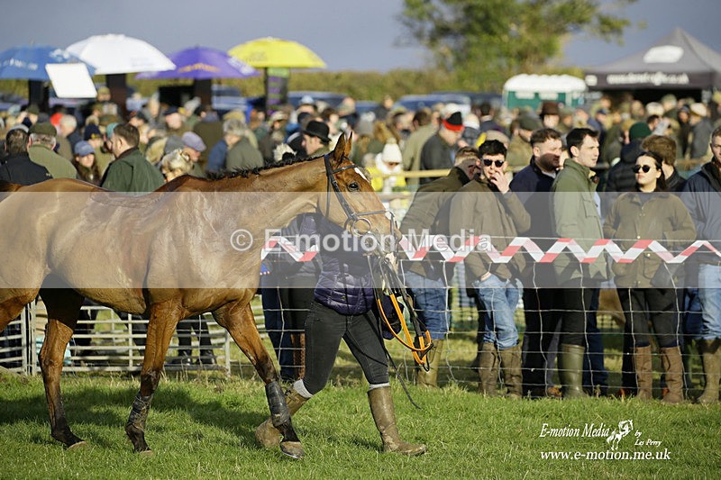 PtP 300122 585 - South Dorset Hunt - Point-to-Point Races 30/01/2022