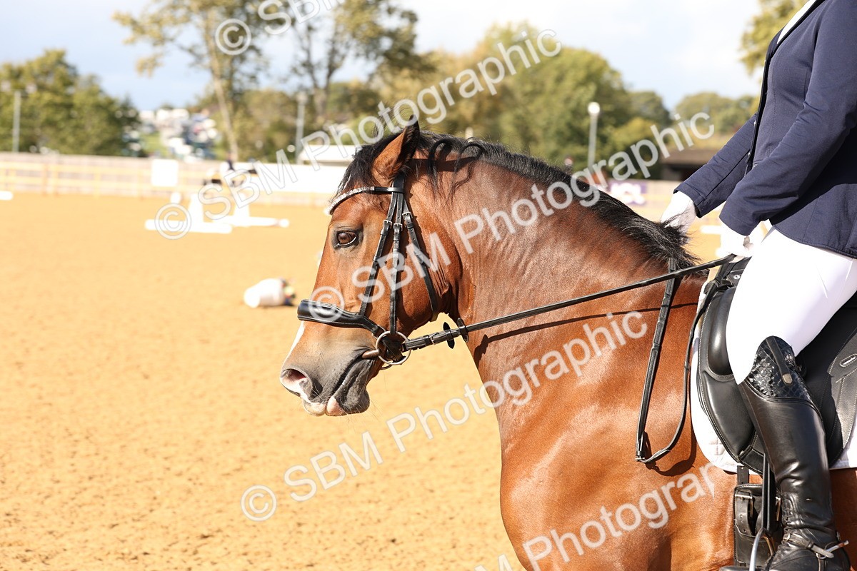 SBM_27000 - D17 - Grand Tour Championship Novice 3