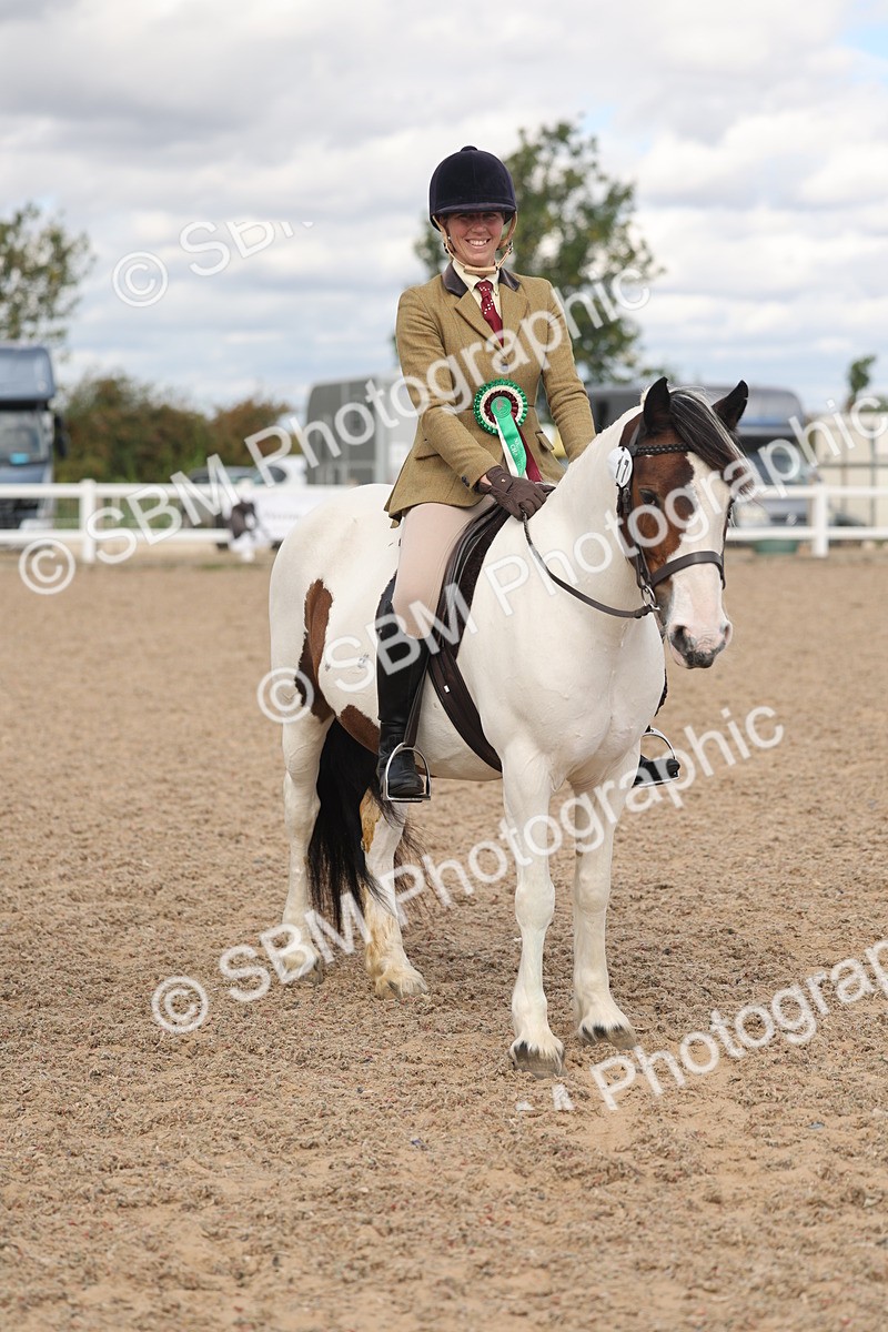 SBM_14701 - Class 307 - Ridden Coloured Pony