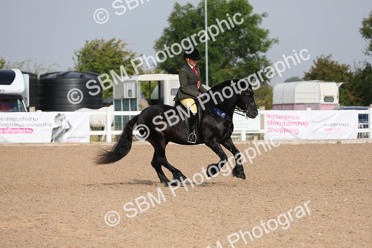 SBM_10183 - Class 302 Ridden M&M -Large Breeds