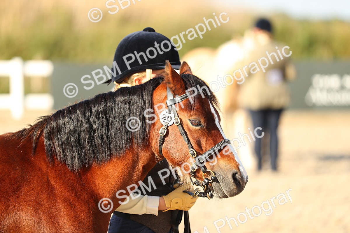 SBM_08983 - Class 29 IH Veteran Pony