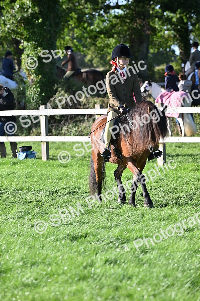 SBM_53019 - S23 - First Ridden Mountain & Moorland Pony