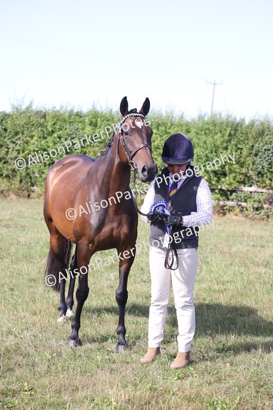 20260906-0722 - Class 22 - Ex Racehorse